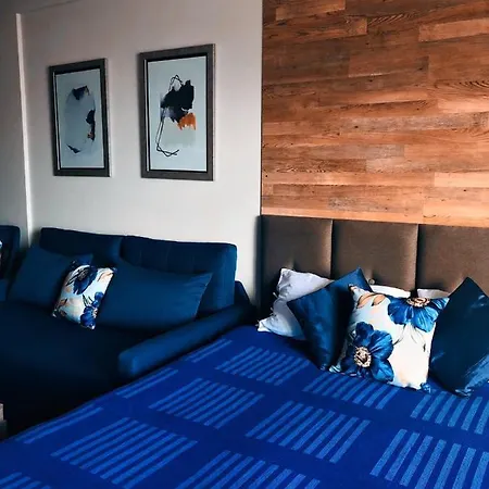 Miss Premier 19 Milmari *