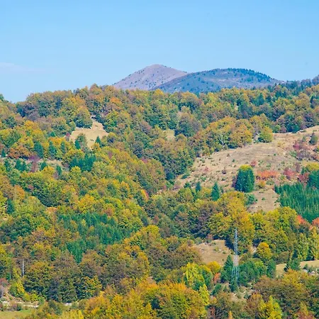 Miss Premier 19 Milmari Apartment