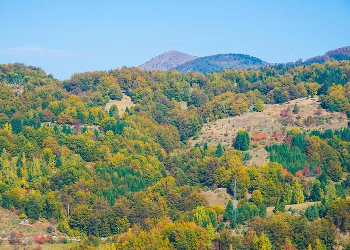 Miss Premier 19 Milmari Διαμέρισμα